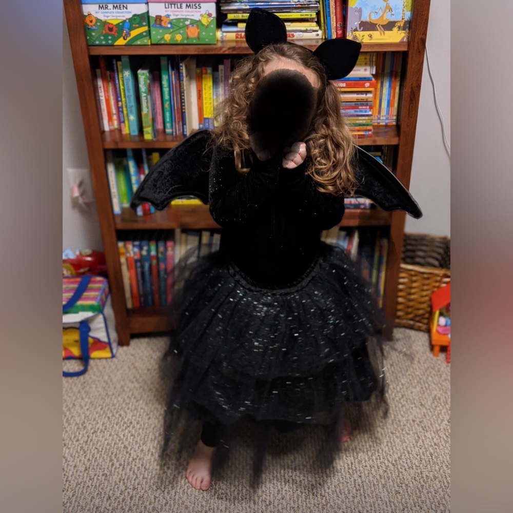 Pottery Barn Bat costume